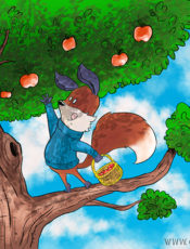 Kit the Fox Picks Apples